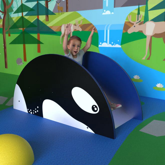 Orca Slide Orca Slide - Active Discovery