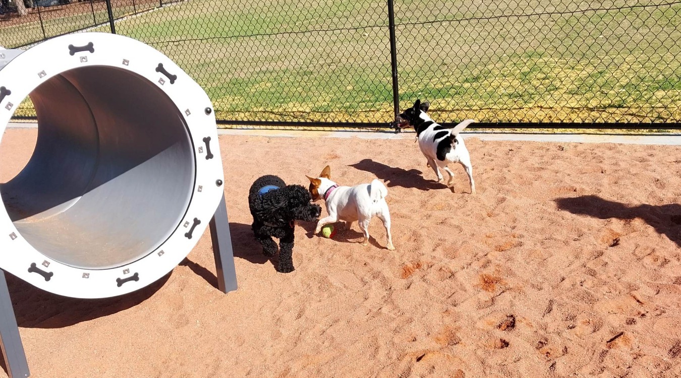 Doggy Park Curved Tunnel